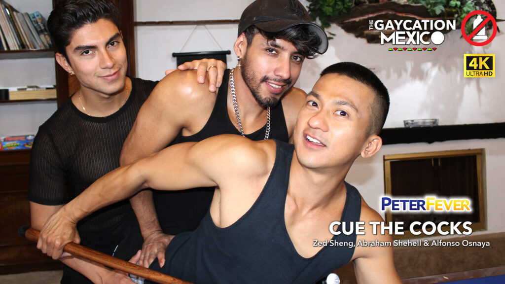 The Gaycation Mexico 4: Cue the Cocks